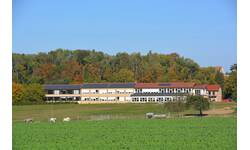 Die Grundschule, ein längliches Gebäude mit Solarpanelen auf dem Dach steht vor einem Wald, umgeben von grünen Feldern und vereinzelten Tieren auf der Wiese.