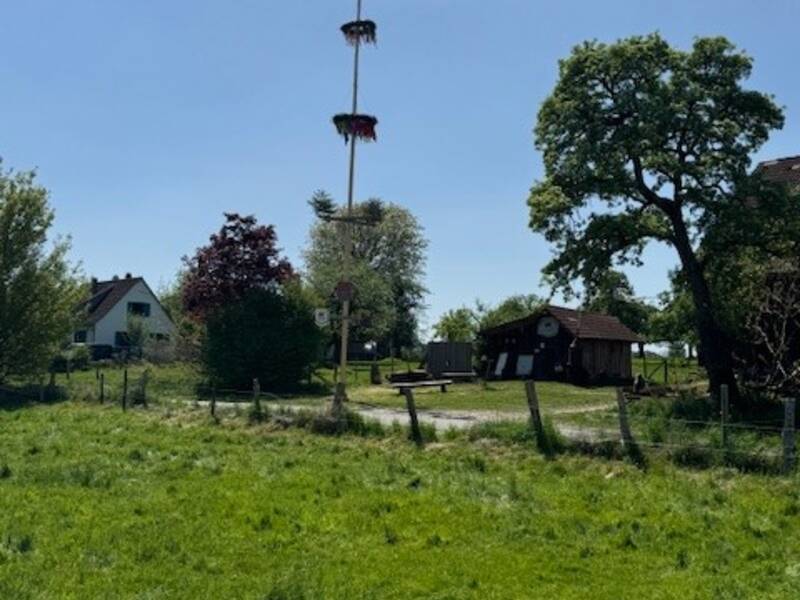 Eine grüne Wiese mit einem traditionellen Maibaum in der Mitte und einige Gebäude im Hintergrund.