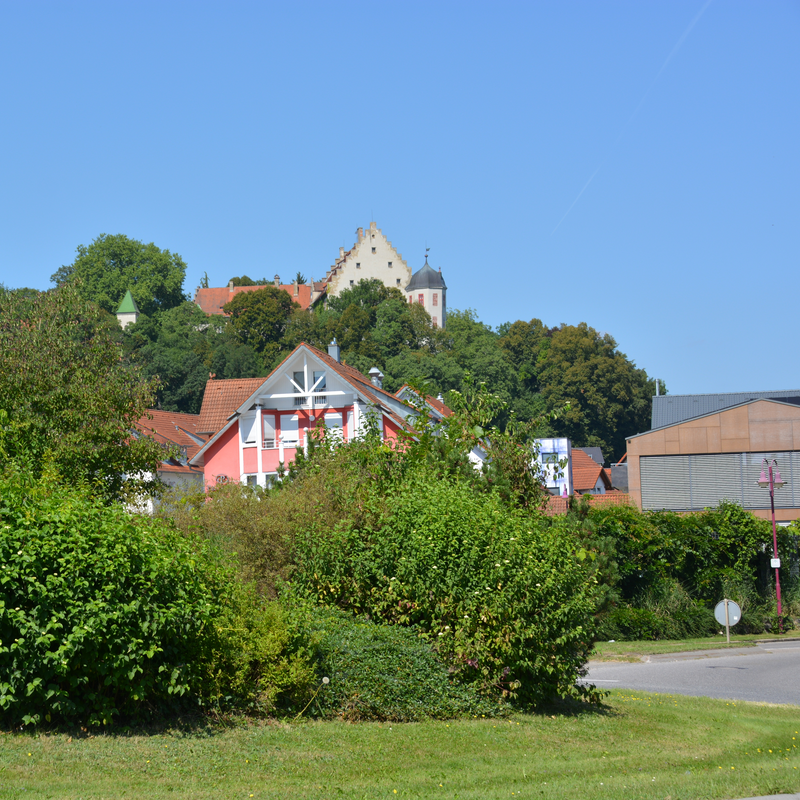 Vordergrund zeigt grüne Büsche und Bäume, während im Hintergrund Häuser und das Schloss Warthausens zu sehen sind, alles unter einem klar blauen Himmel.