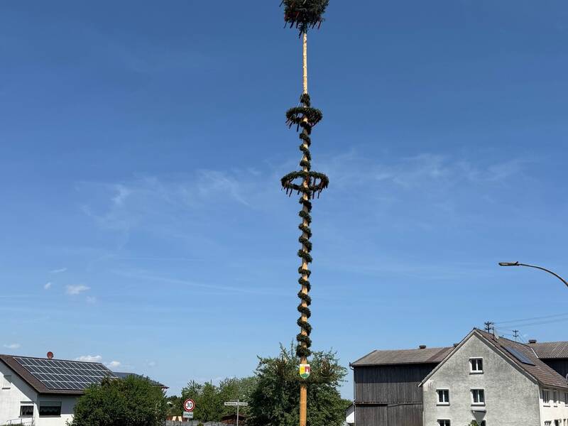 Ein dekorativer Maibaum steht hoch auf einem Platz in einem ländlichen Gebiet, umgeben von Häusern und einem blauen Himmel.