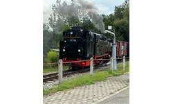Eine schwarze Dampflokomotive (Öchsle-Bahn) mit der Nummer 99 788 fährt auf einem Bahngleis in einer ländlichen Gegend, umgeben von Bäumen und Wiesen, während aus ihrem Schornstein Rauch aufsteigt.