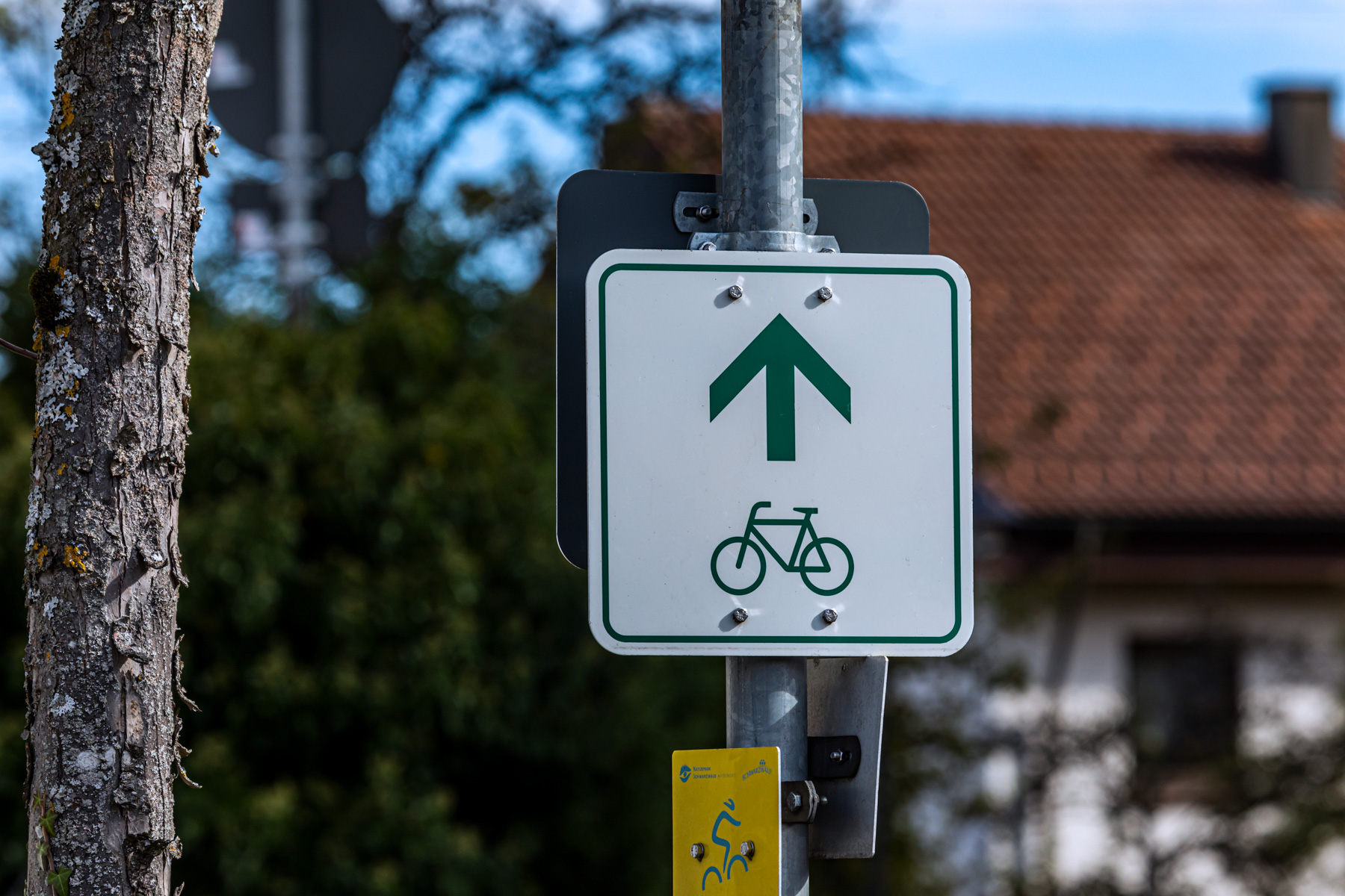 Ein weißes Schild mit einem grünen Fahrrad und Richtungspfeil als Wegweiser für einen Radweg. Das Schild ist an einem Laternenpfosten befestigt.